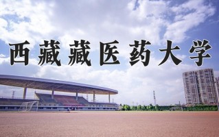 西藏藏医药大学王牌专业排名-含2025年全国各省录取最低分数线