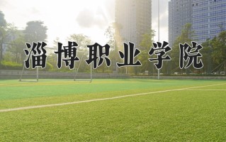 2024年淄博职业学院录取分数线，宁夏最低355分