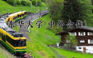 2025年东华大学(中外合作)在四川计划招生人数（附学费及专业录取分)