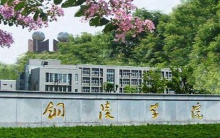 铜陵学院王牌专业排名-含2024年全国各省录取最低分数线