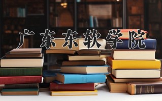 辽宁考生多少分能上广东东软学院？2025最低375分