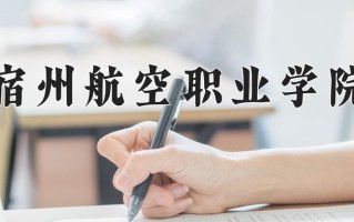 2024宿州航空职业学院录取分数线，重庆录取最低分180