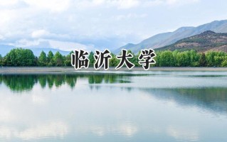 2024临沂大学录取分数线：陕西最低463分