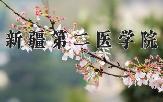 新疆第二医学院怎么样？全国排名第几位