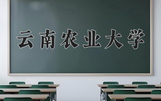 云南农业大学一年学费多少钱及各专业的收费标准(2025参考）