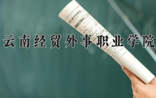 2024年云南经贸外事职业学院招生章程，附办学层次和录取规则