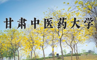 甘肃中医药大学学费多少钱一年：4200-15000元/年（2025填报参考）