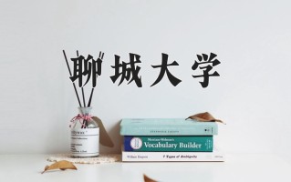 聊城大学怎么样？全国排名第几位