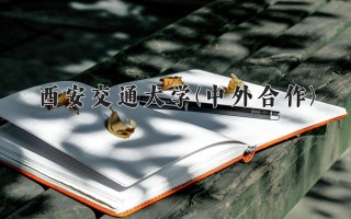 2024年西安交通大学(中外合作)录取分数线，河北最低594分