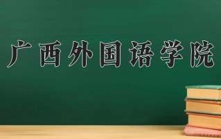 2024广西外国语学院录取分数线：浙江最低466分