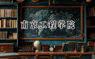 南京工程学院2024在上海录取分数线是多少？最低447分/最高463分