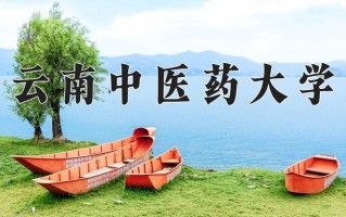 云南中医药大学怎么样？全国排名第几位