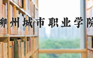 柳州城市职业学院学费多少钱一年：5500-7500元/年（2025填报参考）