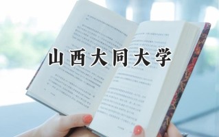 2024山西大同大学录取分数线：天津最低537分