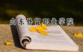 2024山东外贸职业学院录取分数线：陕西最低355分