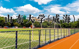 辽宁考生多少分能上山东大学(威海)？2025最低614分