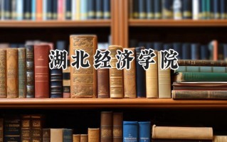 2024湖北经济学院录取分数线：江苏最低517分