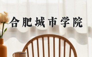 合肥城市学院最厉害的专业-2024合肥城市学院最好专业