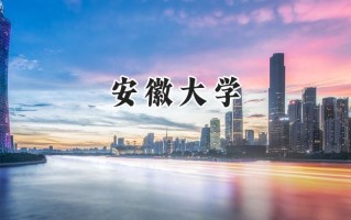 2024安徽大学录取分数线：天津最低612分