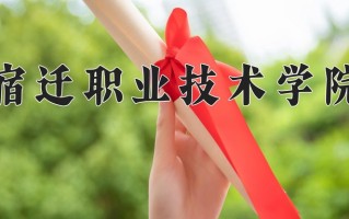 2024宿迁职业技术学院录取分数线：浙江最低419分