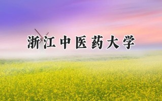 浙江中医药大学2024在上海录取分数线是多少？最低490分/最高540分