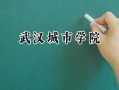 武汉城市学院2024在江苏录取分数线是多少？最低464分/最高500分