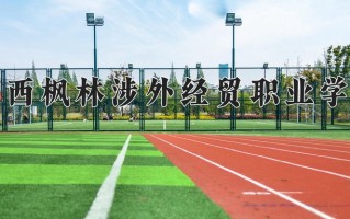 四川251分能上什么好大学？附2025年可以报考的大学名单