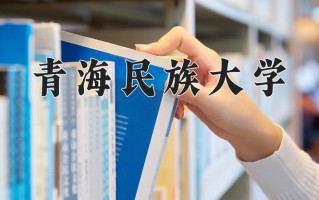 2024青海民族大学录取分数线，重庆录取最低分492