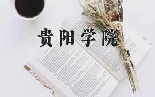 贵阳学院怎么样？全国排名第几位