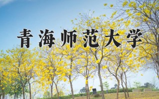 2025年青海师范大学学科排名（全国第四轮评估结果)