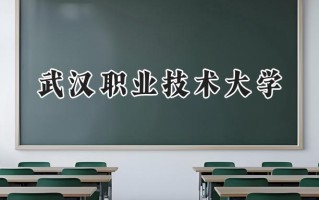 武汉职业技术大学2024在浙江录取分数线是多少？最低475分/最高556分