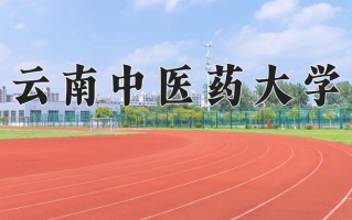 云南中医药大学最厉害的专业-2024云南中医药大学最好专业