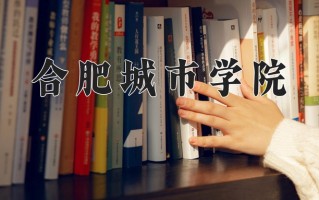 2025年合肥城市学院在河南计划招生人数（附学费及专业录取分)