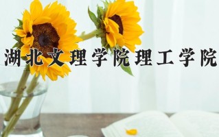 2025年湖北文理学院理工学院在四川计划招生人数（附学费及专业录取分)
