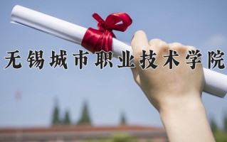 2024年无锡城市职业技术学院录取分数线，新疆最低231分