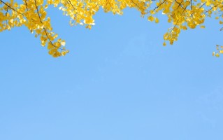 工程造价专业毕业能从事什么行业？工程造价专业就业方向及前景全解析