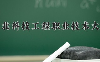 大数据工程技术专业学费多少？附江苏2024年招收的大学