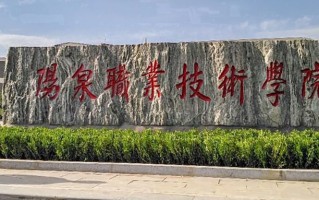 2024年阳泉职业技术学院录取分数线，河北最低353分