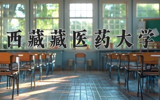 西藏藏医药大学最厉害的专业-2024西藏藏医药大学最好专业