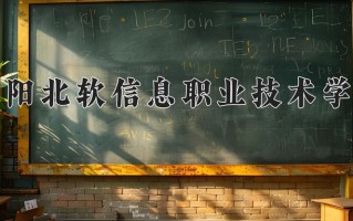2025年沈阳北软信息职业技术学院在四川计划招生人数（附学费及专业录取分)