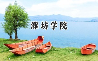 潍坊学院2024在江苏录取分数线是多少？最低494分/最高530分