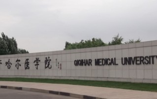 2024齐齐哈尔医学院排名-最新全国排名第393位