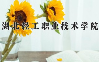 2024湖北轻工职业技术学院录取分数线：浙江最低422分