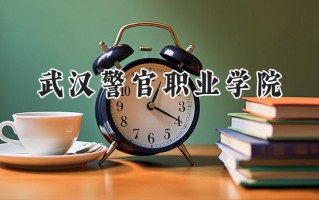 武汉警官职业学院2024在江苏录取分数线是多少？最低374分/最高439分