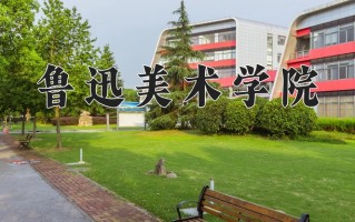 鲁迅美术学院2024年各学科排名一览表！附教育部评级比例