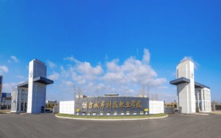 2024年烟台城市科技职业学院录取分数线，河北最低300分