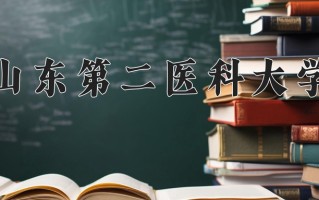 2024山东第二医科大学录取分数线，重庆录取最低分543