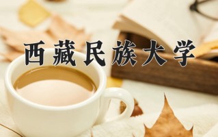 西藏民族大学2024年各学科排名一览表！附教育部评级比例