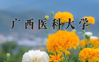 医学实验技术专业大学排名！附2025全国最新院校排行榜名单