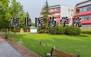 湖北医药学院全国排名和最强专业解析